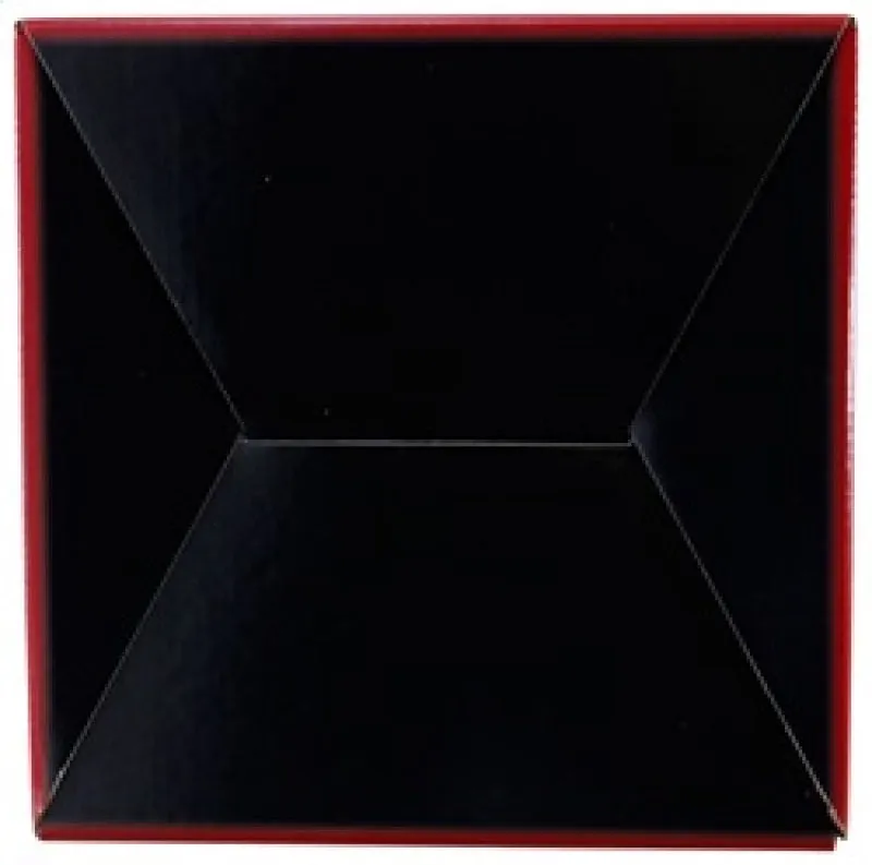 Airaid 10-14 Ford Mustang Shelby 5.4L Supercharged Direct Replacement Filter - Dry / Red Media