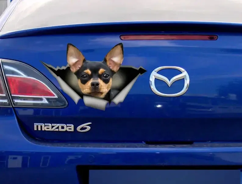 Black and tan Chihuahua sticker, Chihuahua magnet, chihuahua car decal,pet decal
