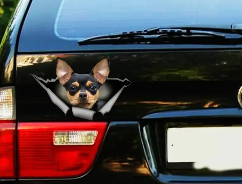 Black and tan Chihuahua sticker, Chihuahua magnet, chihuahua car decal,pet decal