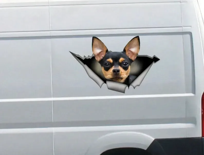 Black and tan Chihuahua sticker, Chihuahua magnet, chihuahua car decal,pet decal