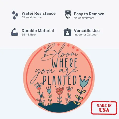 Bloom Where You are Planted Flower Magnetic Decal, Durable Removeable Magnets for Car Bumpers, School Lockers, Classrooms, Refrigerators, and More, Inspirational and Inclusive Decals, 5.5 Inches