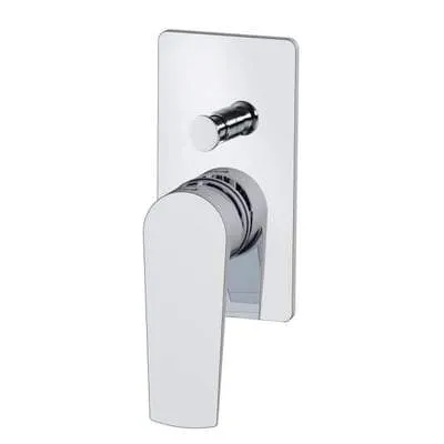 Concealed Chrome Shower Valve