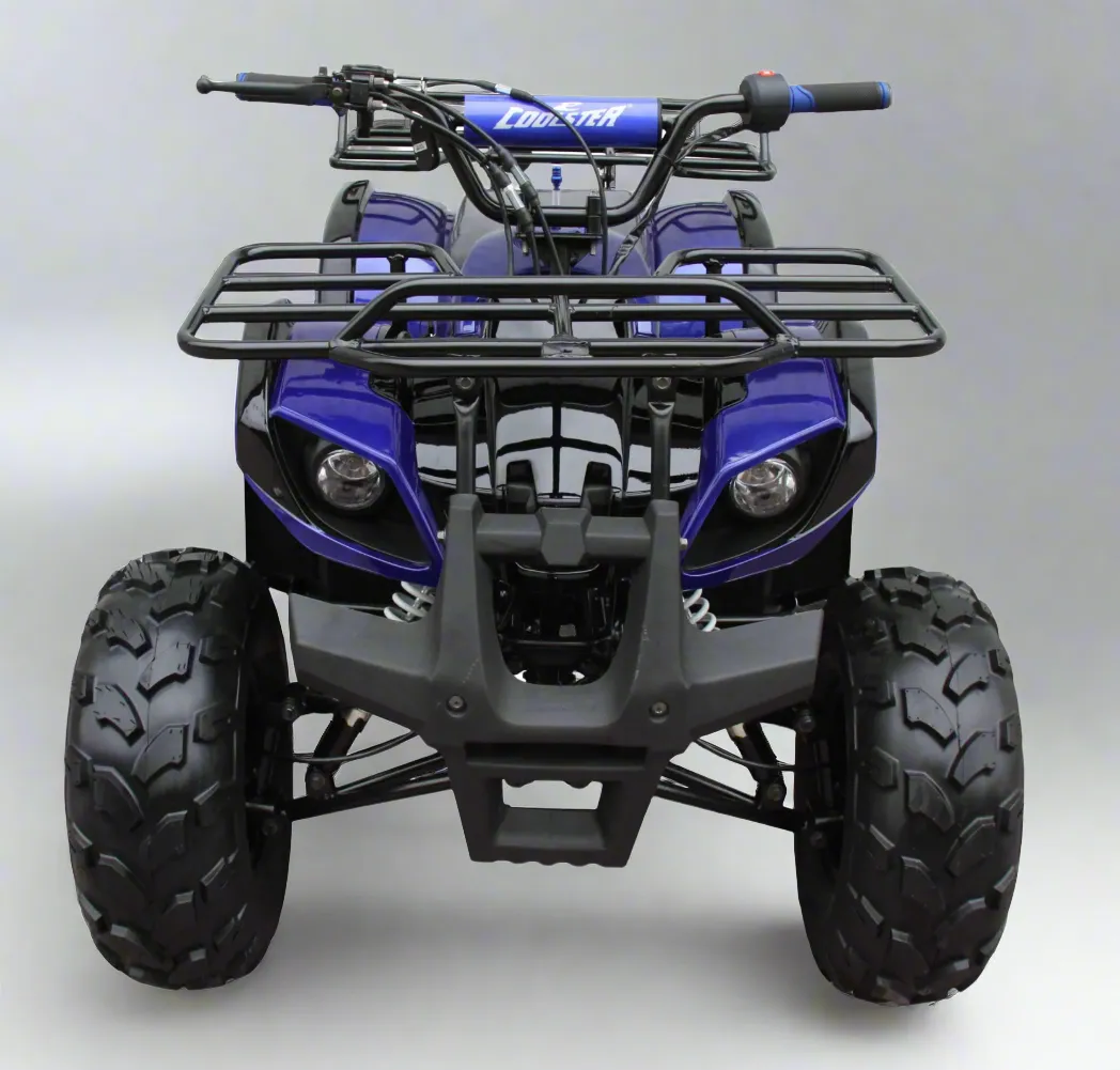 Coolster Ultimate 125cc ATV - Fully Automatic   Reverse - ATV-3125XR8-U