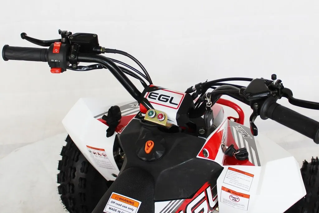 EGL 125cc Racing Madix ATV | Automatic   Reverse