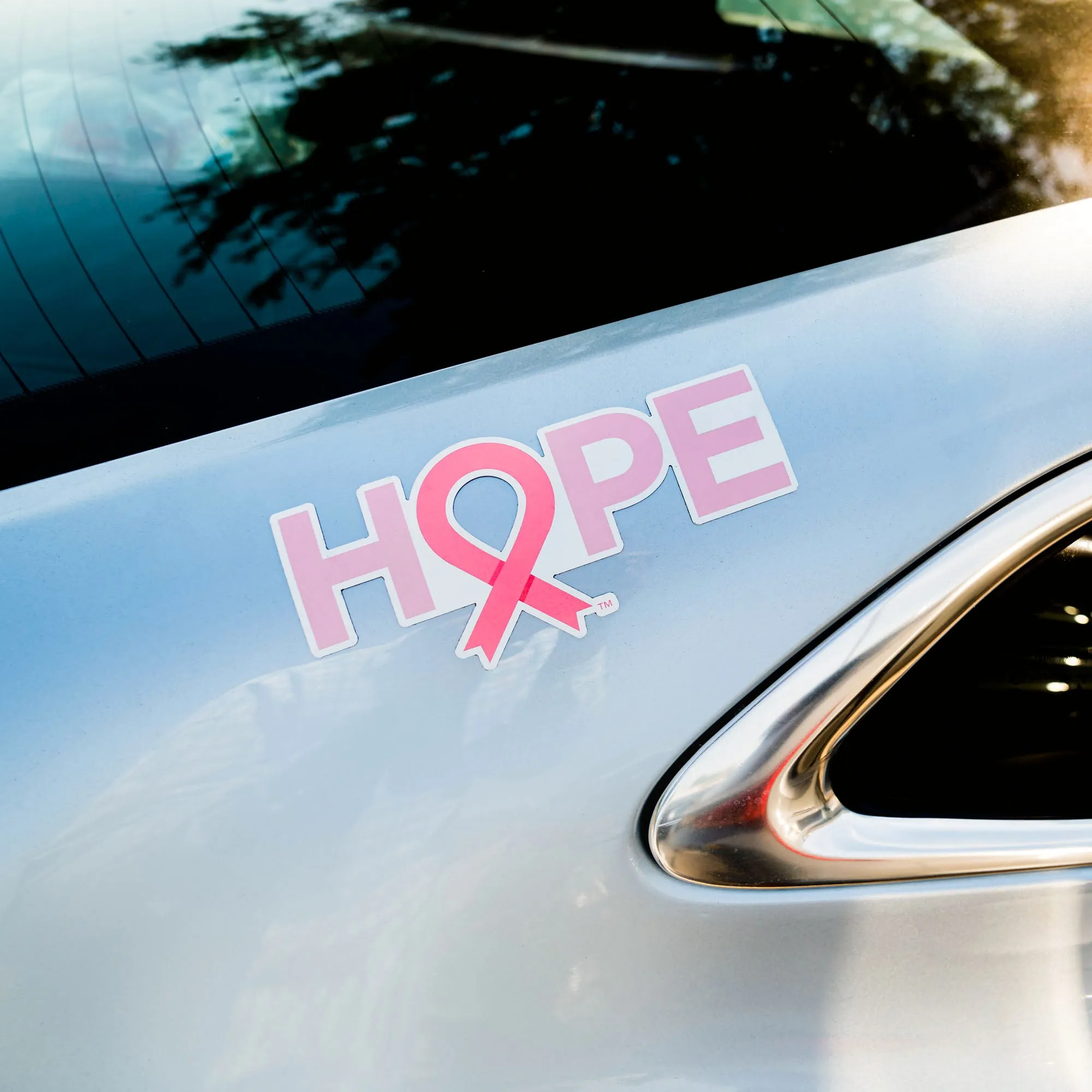HOPE Pink Ribbon Magnet - Pink - Large - NBCF