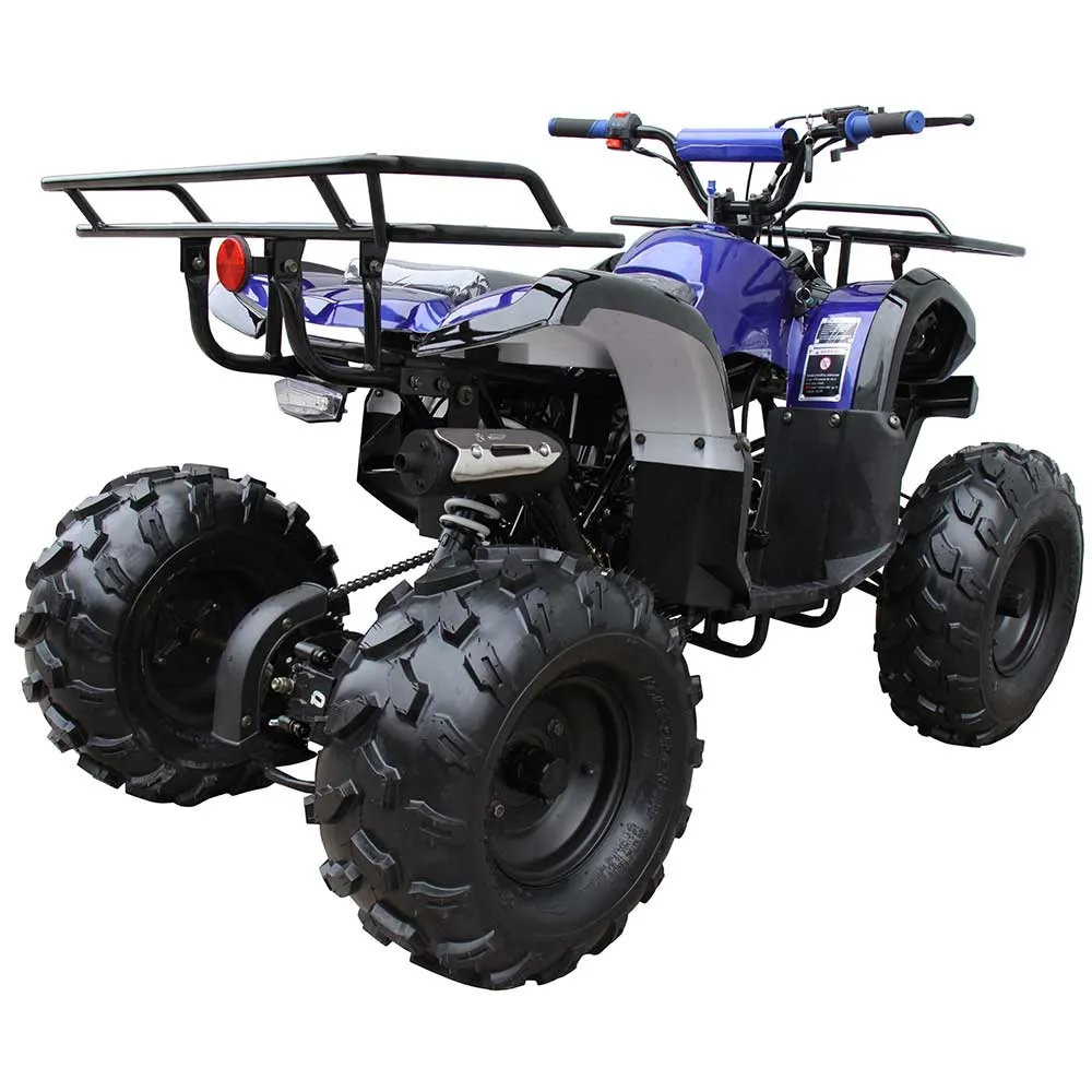 Kodiak 125cc Raytech ATV - Automatic   Reverse | CRT125-1