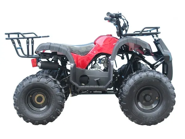 Kodiak 125cc Raytech ATV - Automatic   Reverse | CRT125-1