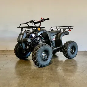 Kodiak 125cc Raytech ATV - Automatic   Reverse | CRT125-1