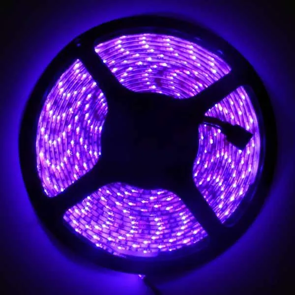 NovaBright 24V 5050SMD Color Changing RGB Super Bright LED Strip Light 16 Ft Reel 300 LEDs Kit| IP Rating| IP65 (Waterproof)
