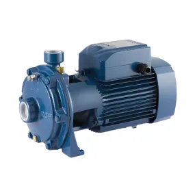 Onga SPN100SP 1.10 Twin Impeller High Head Medium Flow Domestic Automatic Transfer Pump with Pressure Switch (Max 100LPM/470KPA)