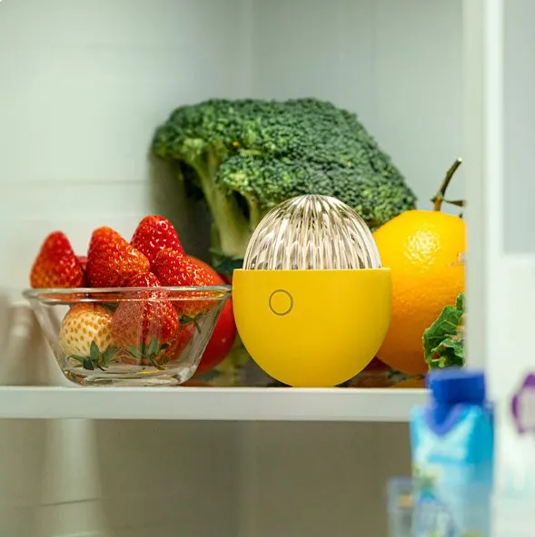 Ozone Odor Eliminator Egg - Compact Odor Solution