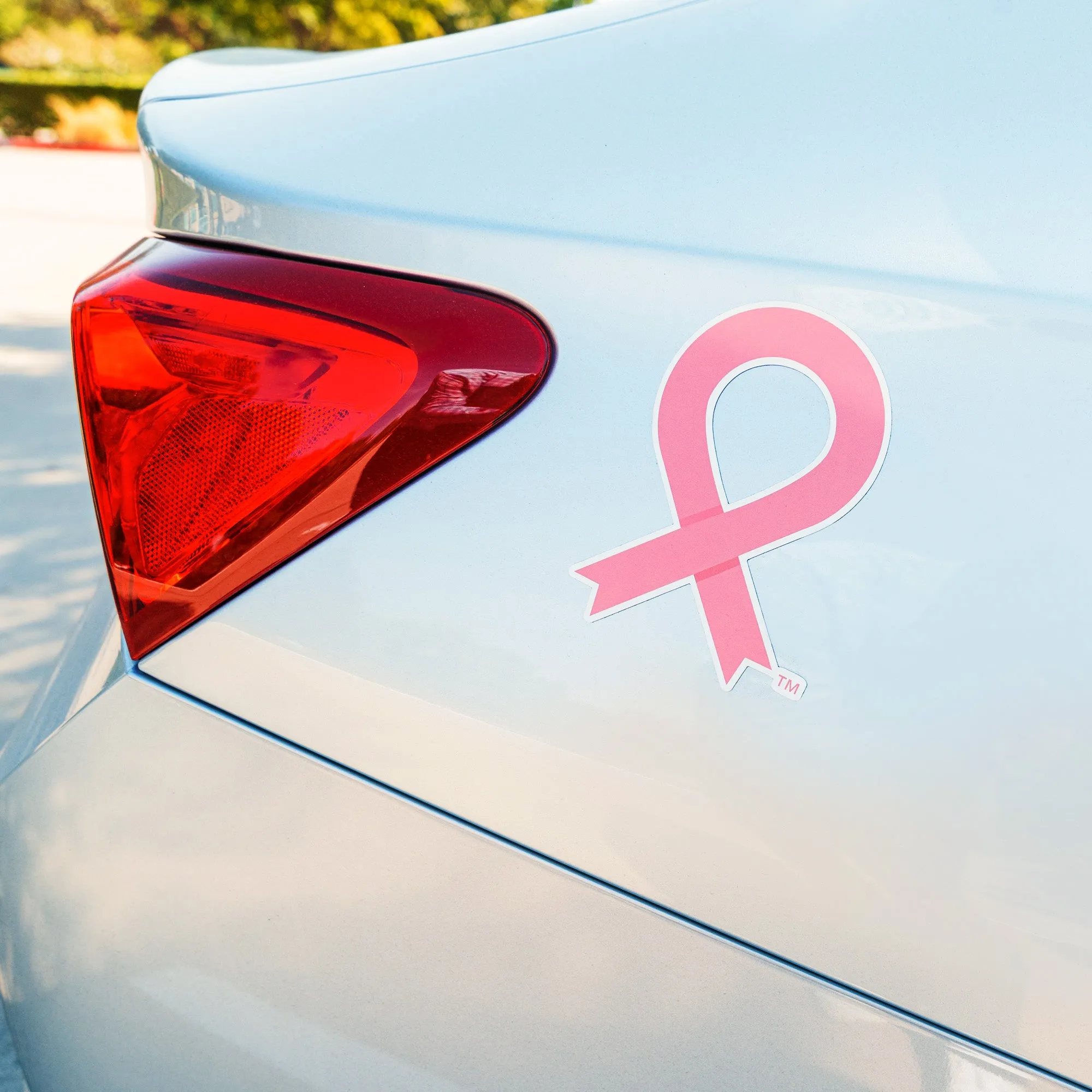 Pink Ribbon Breast Cancer Awareness Magnet - Pink - Large- NBCF