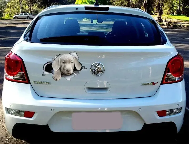 Silver lab puppy car decal, lab decal, Silver Labrador sticker, pet decal , lab magnet