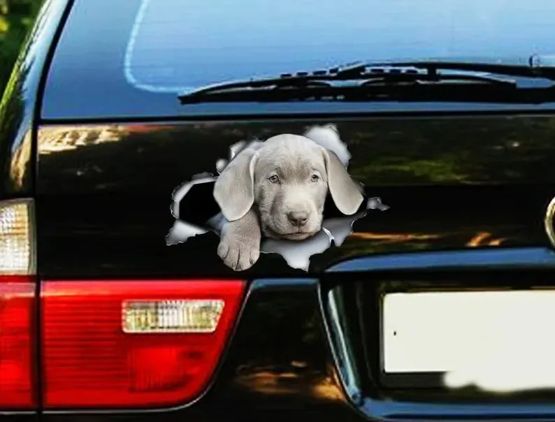 Silver lab puppy car decal, lab decal, Silver Labrador sticker, pet decal , lab magnet