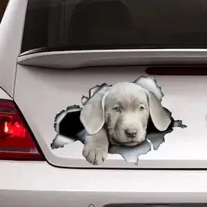 Silver lab puppy car decal, lab decal, Silver Labrador sticker, pet decal , lab magnet