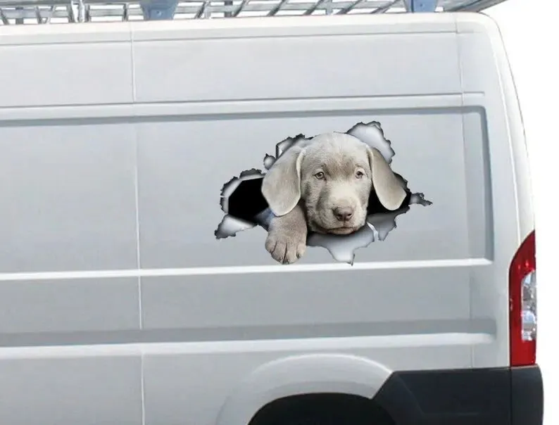 Silver lab puppy car decal, lab decal, Silver Labrador sticker, pet decal , lab magnet